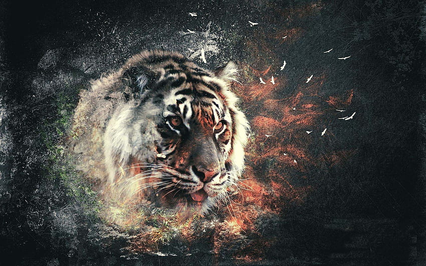 Page 2 | artistic tiger HD wallpapers | Pxfuel
