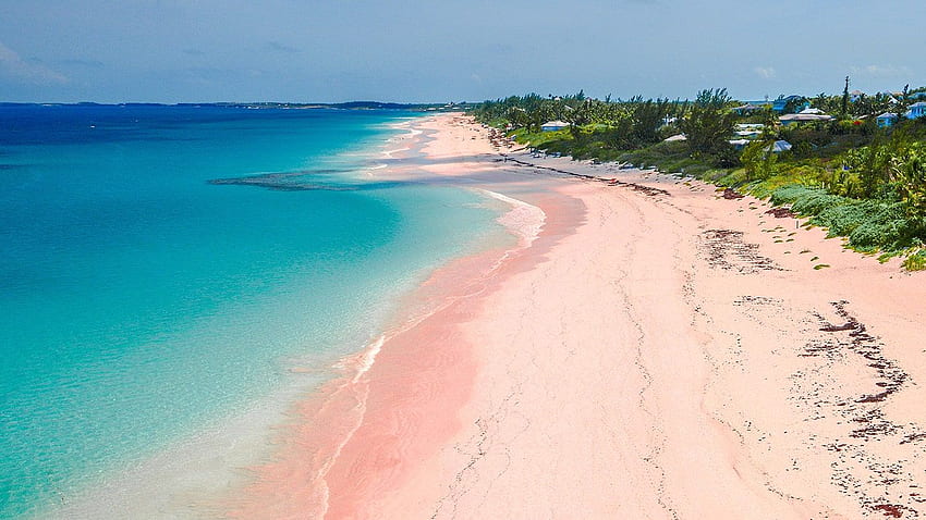 Gdzie znaleźć różowe piaszczyste plaże (oraz czarne i zielone). Condé Nast Traveler, plaża z różowym piaskiem Tapeta HD