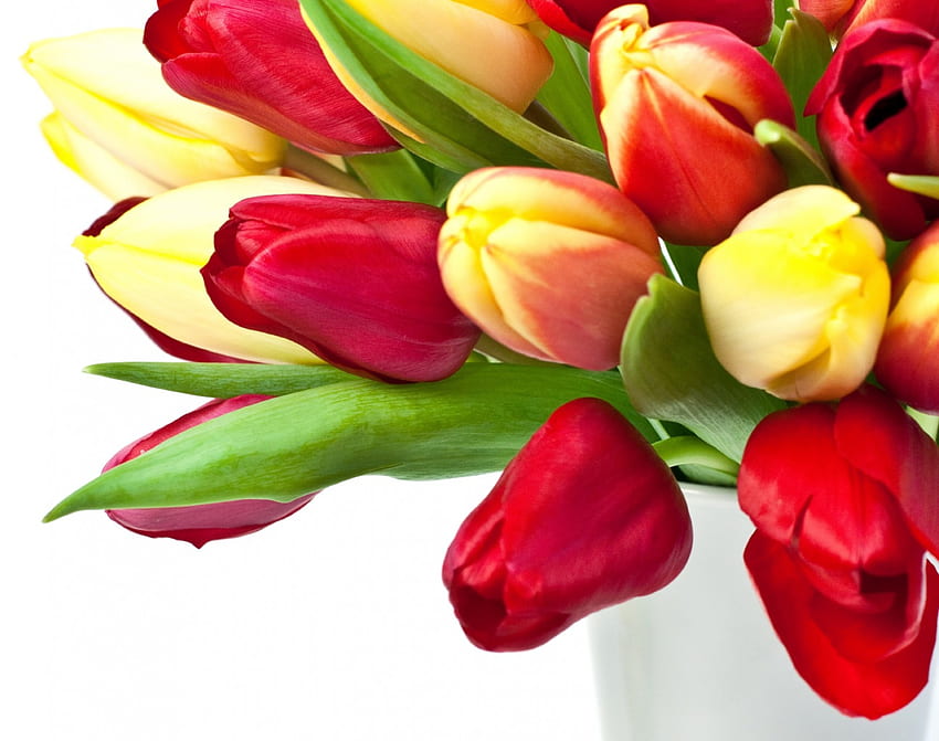 Tulipas, tulipas vermelhas, buquê, vermelho papel de parede HD