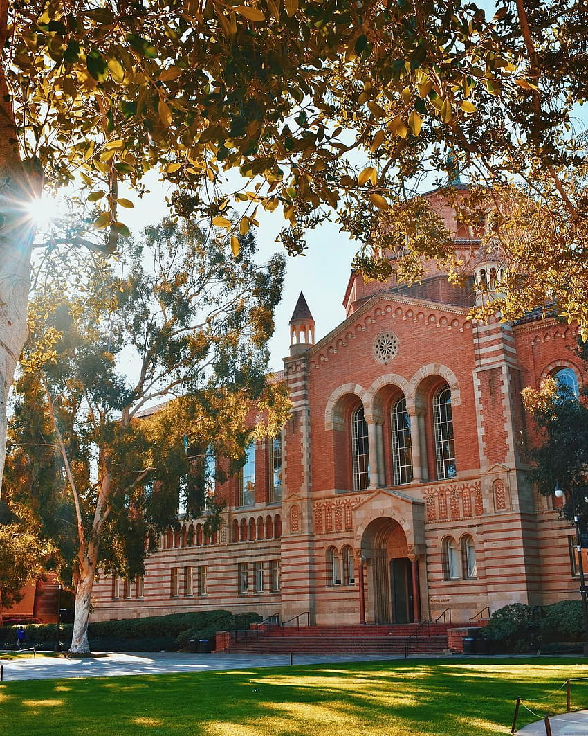 UCLA - ¡No nos cansamos del campus! Comparte el tuyo con el hashtag fondo de pantalla del teléfono