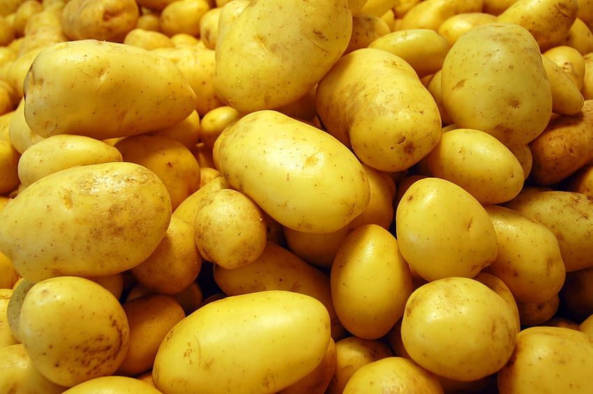 Potatoes Background HD wallpaper