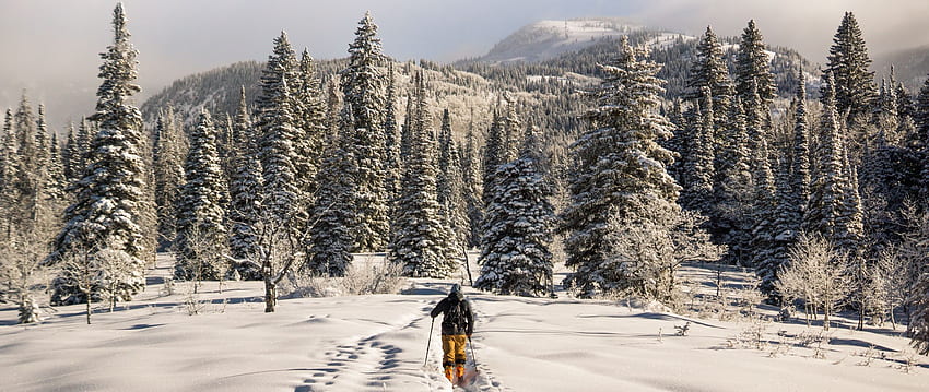 pemain ski, pegunungan, salju, musim dingin ganda, Musim Dingin Nordik Wallpaper HD