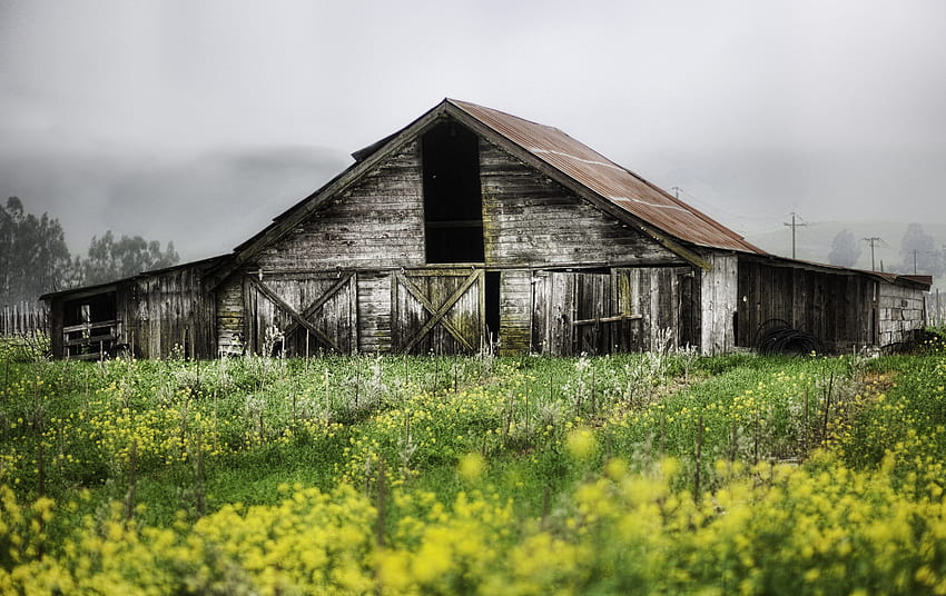 Nature, House, Garden, Mainly Cloudy, Overcast, Barn, Shed, Abandoned HD wallpaper