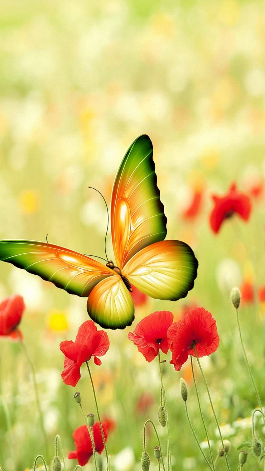Farfalla Risoluzione iPhone - Natura Fiore Farfalla , Farfalle Gialle iPhone Sfondo del telefono HD