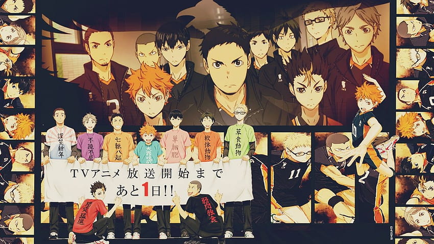 Anime Karasuno High Volleyball Team Haikyuu . . 1079498, Haikyuu Characters HD wallpaper