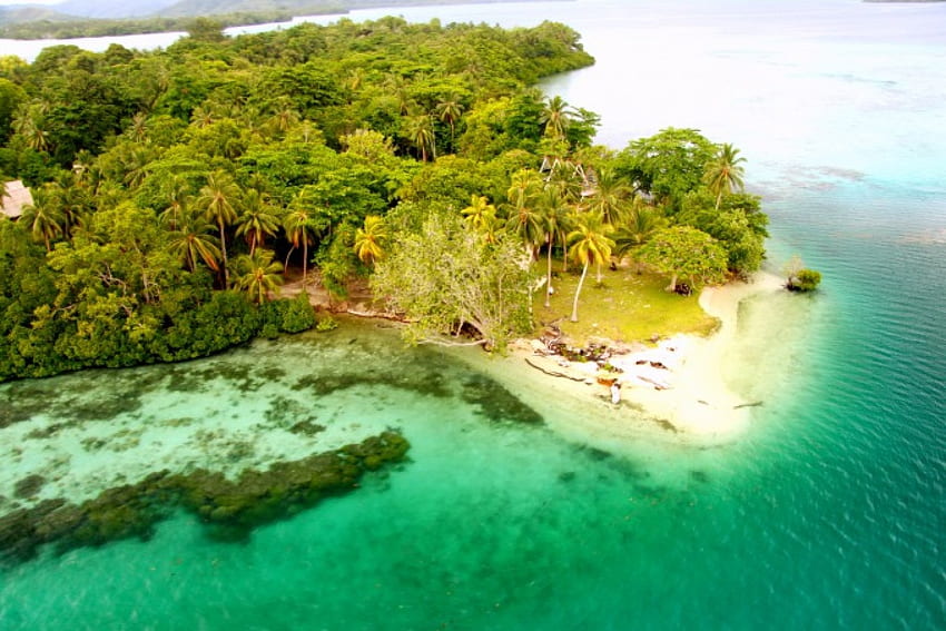 เกาะทาวานิปูปู หมู่เกาะโซโลมอน ทะเล เกาะ สวรรค์ น้ำทะเลสีฟ้าคราม สวย หญ้า ต้นปาล์ม ชายหาด วอลล์เปเปอร์ HD