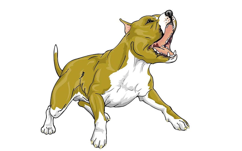 Dogs animated bull pitbull ., Cartoon Pitbull HD wallpaper