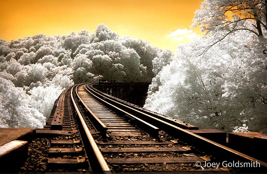 Train Tracks afari - Arrière-plan pour l'édition de sauts Fond d'écran HD