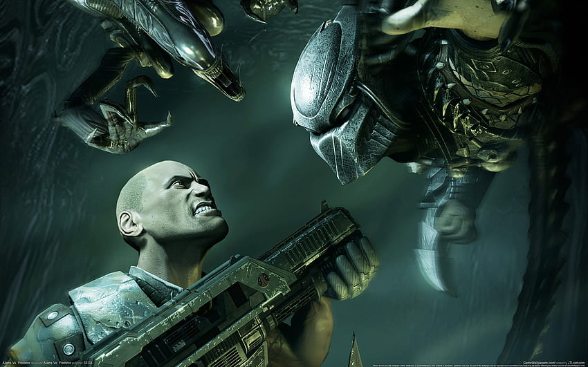 Aliens vs predator, aliens, weapon, fight, human, predator HD wallpaper