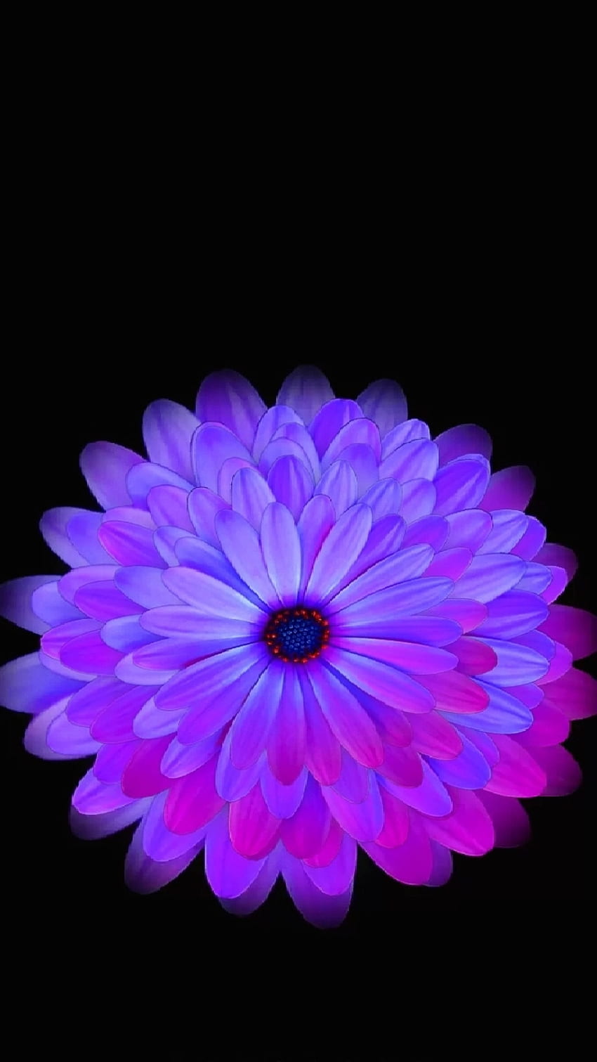 Purple Flower HD phone wallpaper | Pxfuel