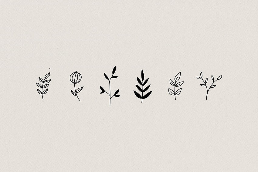 식물 손으로 그린 ​​삽화. 귀여운, 맥북, 예술, 식물 노트북 HD 월페이퍼
