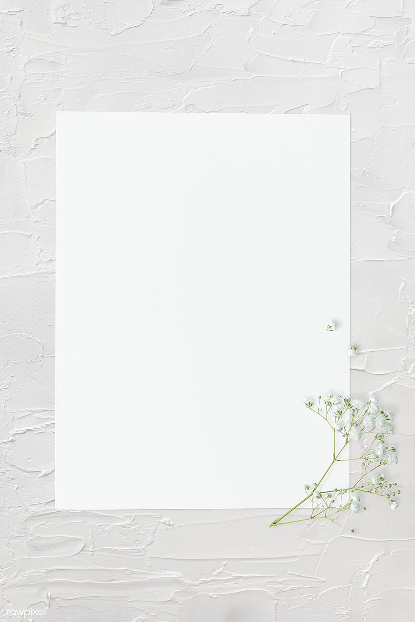 premium psd of Blank plain white paper template 1201886. Paper template, Instagram frame template, Instagram frame HD phone wallpaper