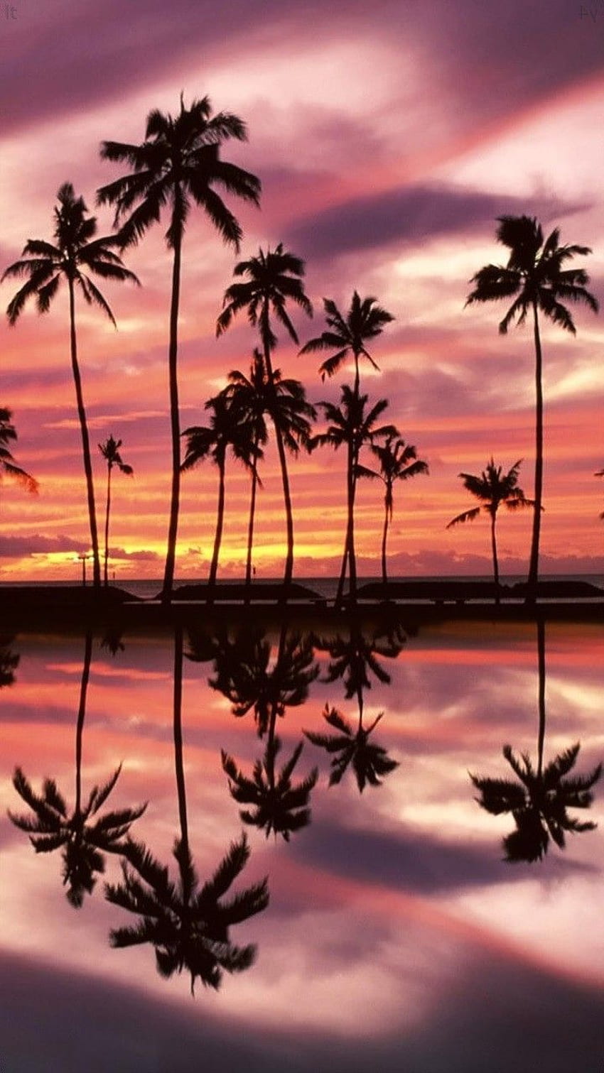 Errol Mclean on Homescreen in 2020. Honolulu beach, Nature, Ala moana ...