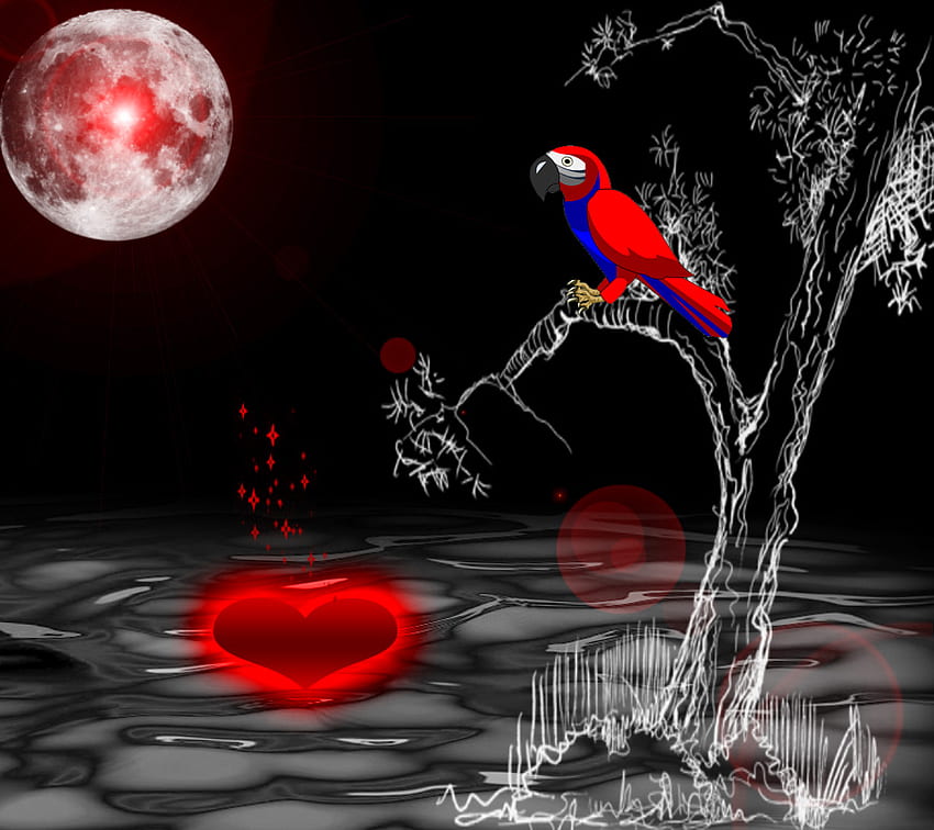 Corazón sobre las aguas, dom, pájaro, amor, luna, noche oscura, rojo, corazón, agua fondo de pantalla
