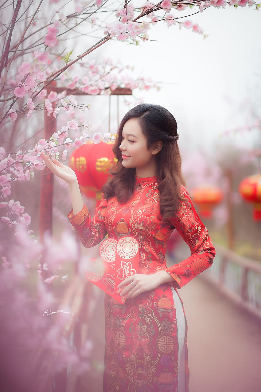 Woman Wearing Red Chinese Traditional Dress · Stock, Chinese Lady HD phone wallpaper