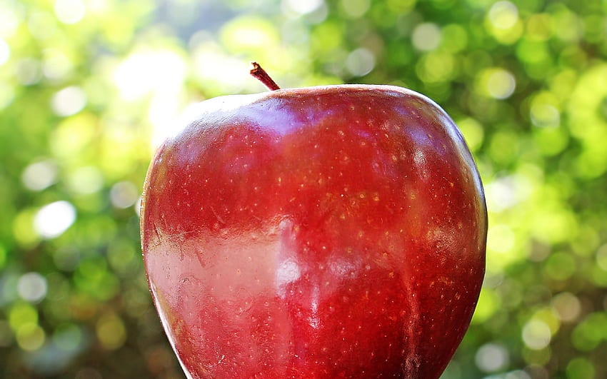 Apple, Fruit, Ripe, Close Up HD wallpaper