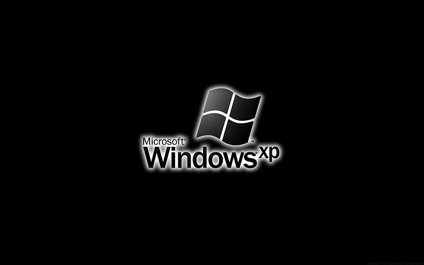 윈도우 XP 블리스 . Windows XP, 애니메이션 배경, Windows, Windows XP 로고 HD 월페이퍼