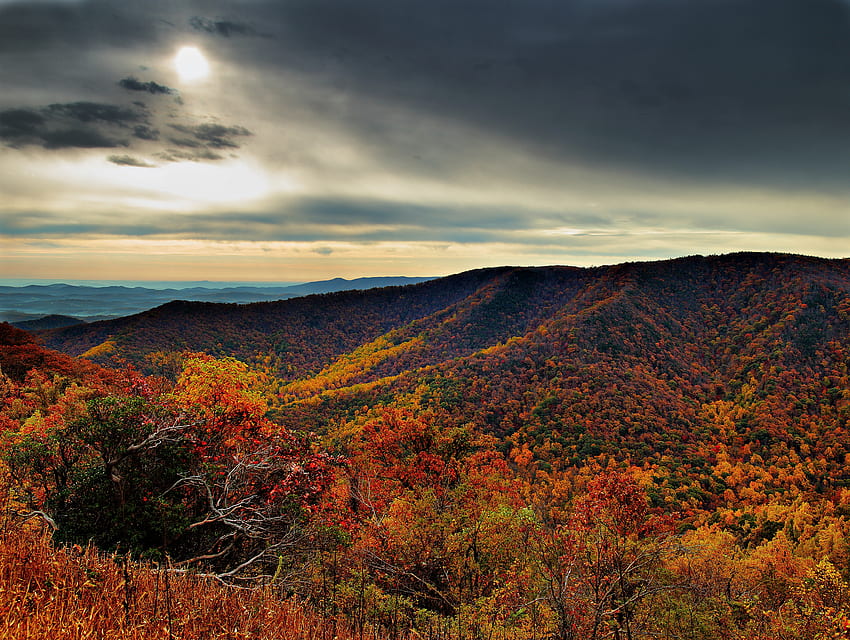 Montaña Púrpura Majestad Virginia Commons, Montañas Blue Ridge Virginia fondo de pantalla