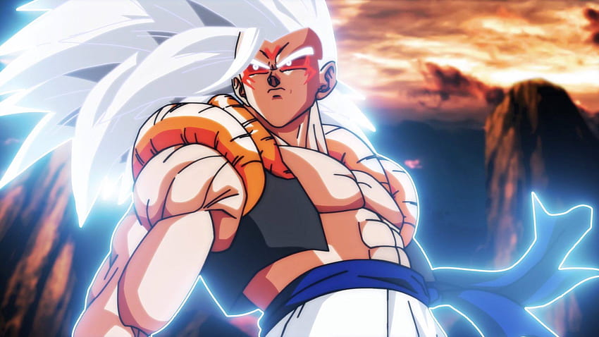 Anime War Goku und Vegeta, Omni God Goku HD-Hintergrundbild