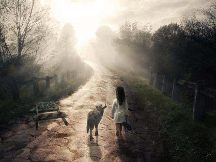You Will Never Walk Alone, abstract, fantasy, animals, road, girl, wolf HD wallpaper