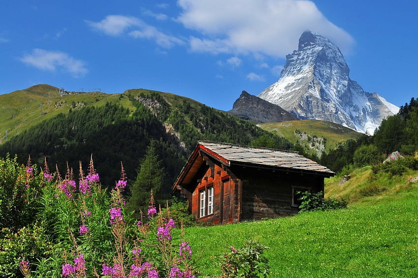 Szwajcarski kraj, szczyty, ładny, Szwajcaria, wzgórza, nachylenie, dom, kraj, szwajcarski, piękny, trawa, skały, góra, kabina, lato, chmury, niebo, kraj górski, kwiaty, chata, piękny Tapeta HD