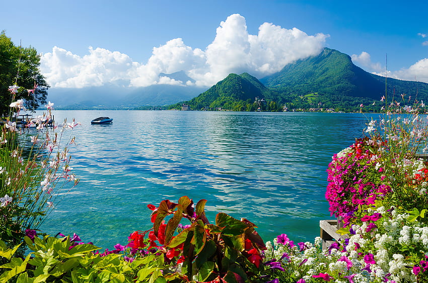 アヌシー湖、青、海岸、フランス、美しい、山、湖、景色、雲、花、空 高画質の壁紙