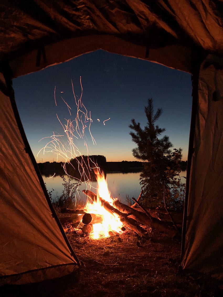 자연, 모닥불, 밤, 텐트, 캠핑, 캠프장 HD 전화 배경 화면