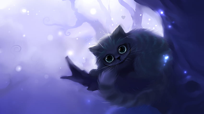 Katze / und mobiler Hintergrund, Galaxy Cat Laptop HD-Hintergrundbild