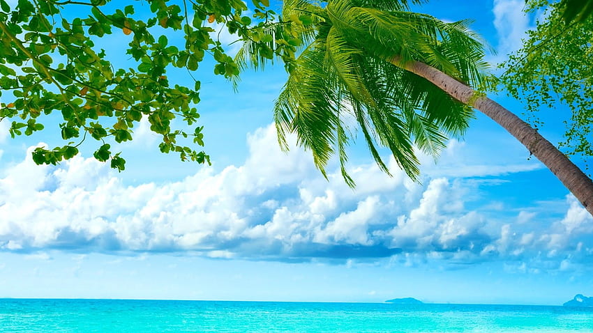 Exotic, Summer, Day, Sea , Summer, Sun, Sky, Fresh Air, Vacation, Holiday, Happiness HD wallpaper