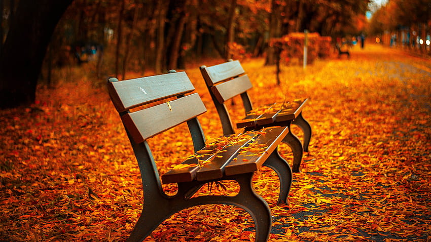 Herbsthintergrund, 3840 x 2160 Herbst HD-Hintergrundbild