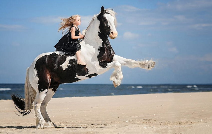 ღ❤ღ, horse, love, nature, girl, friends HD wallpaper