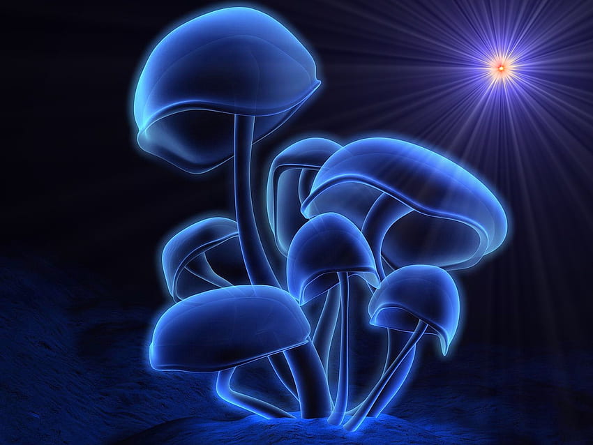Eternal Blue Shrooms, 3d and cg, blue, shrooms, abstract HD wallpaper