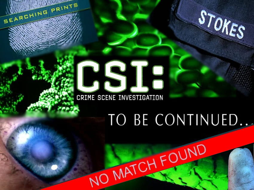 csi name tags. csi crime scene investigation 2 csi crime HD wallpaper