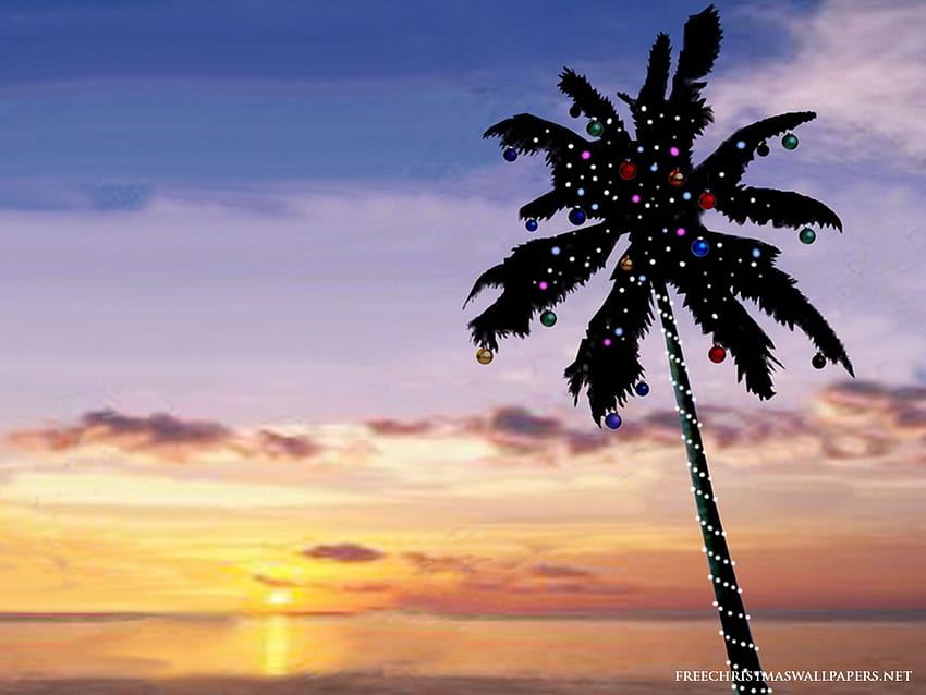 Florida Christmas HD wallpaper | Pxfuel