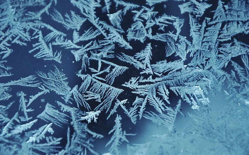 Frost winter cold window glass abstract pattern HD wallpaper