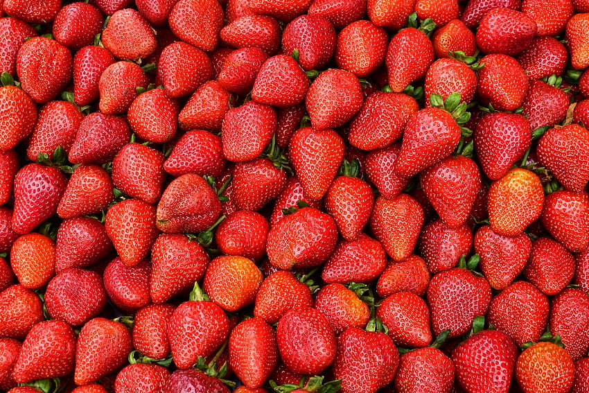 Food, Strawberry, Berry, Ripe, Harvest HD wallpaper