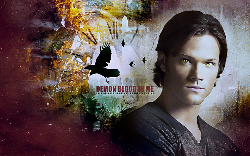 Sam Winchester Background. Winchester Bros , Winchester Hunting and Dean Winchester Daddy HD wallpaper