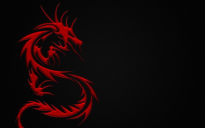 Red Dragon background, AMD Dragon HD wallpaper | Pxfuel