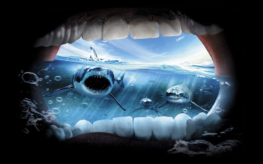 sea, shark, teeth, scream, view from mouth, Cool Shark HD wallpaper