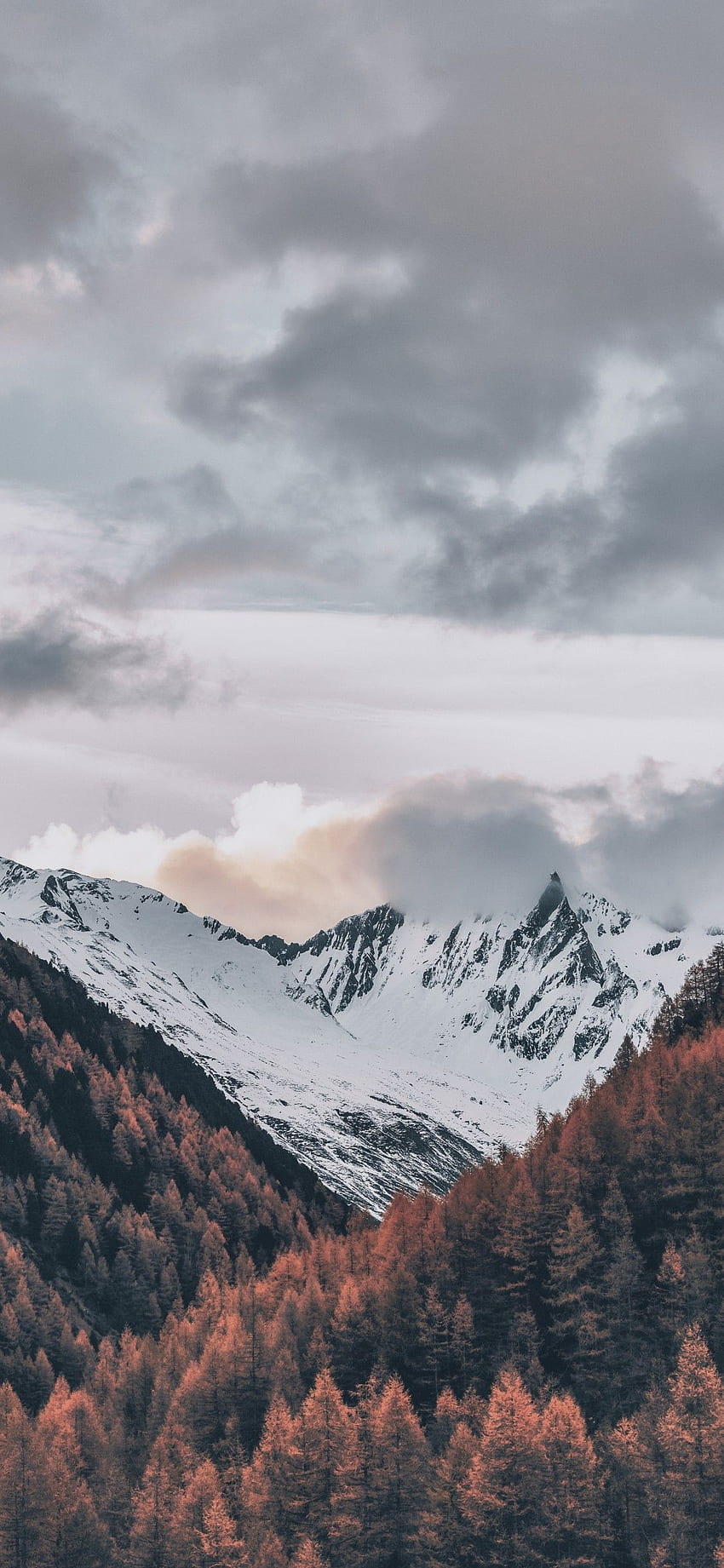 Itália, Montanhas, Nuvens, Árvores, Inverno, Neve para iPhone 11 Pro e X Papel de parede de celular HD