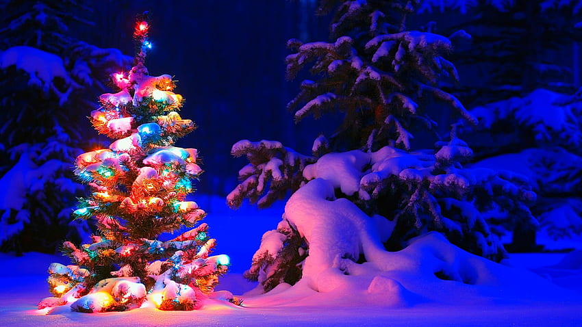 Snowy Christmas Tree Lights in jpg format HD wallpaper