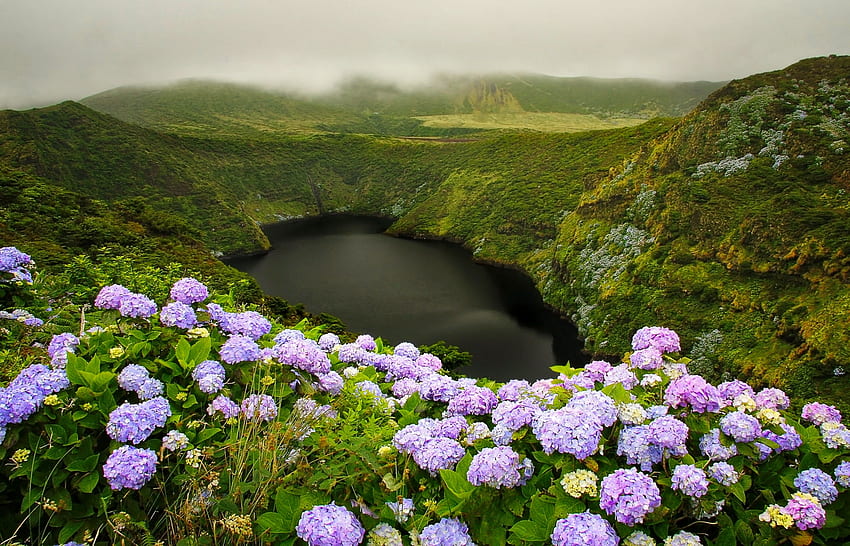 Calderia Comprida jezioro, wzgórza, piękny, jezioro, lato, mgła, hortensje, ładny, zieleń, widok, kwiaty, śliczny Tapeta HD