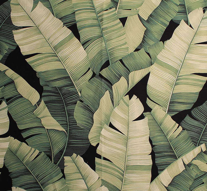 Trend: Tropical Leaf Prints, Vintage Leaves HD wallpaper