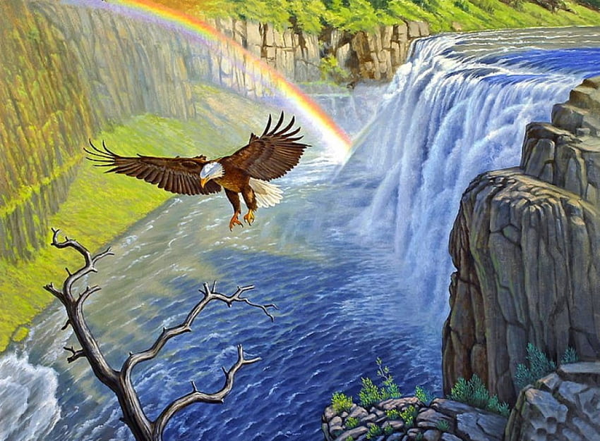Nature and rainbow, outdoor, river, colorful, rainbow, eagle, beautiful, nature, peaceful HD wallpaper