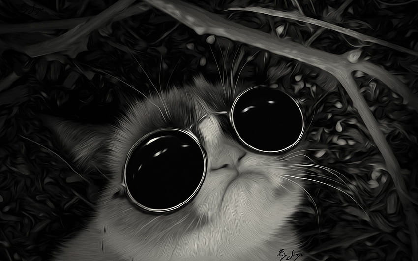 Sunglasses john lennon post awsome grumpy cat HD wallpaper | Pxfuel