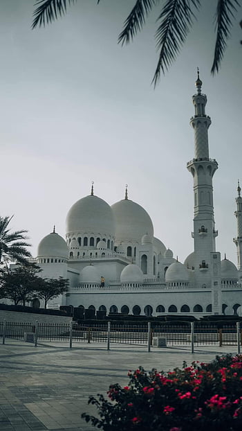 Grand mosque abudhabi HD wallpapers | Pxfuel