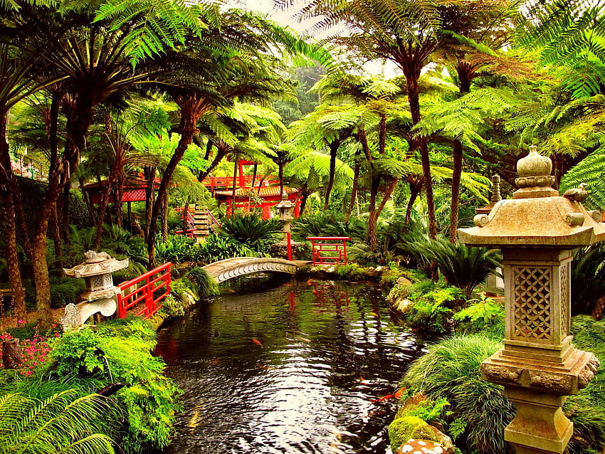Zen-Garten 20, Zen-Kirschblüte HD-Hintergrundbild