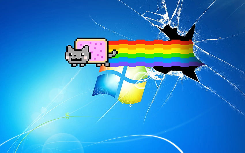 Zdumiewający Nyan Cat Windows 7 . Zwierzęta też, prawdziwy kot Nyan Tapeta HD