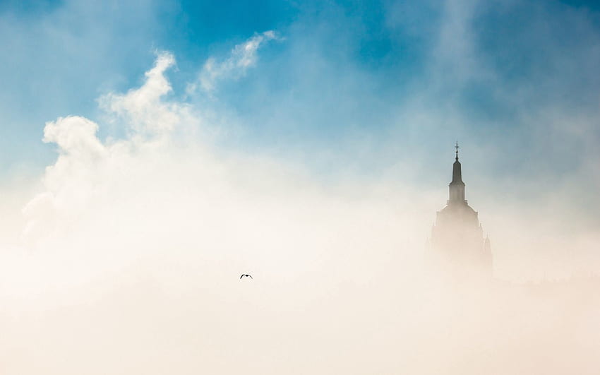 Città, cielo, città, uccello, nebbia, mattina, Budapest Sfondo HD