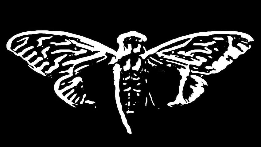 Cicada 3301: Galeria (widok listy) Tapeta HD